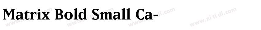 Matrix Bold Small Ca字体转换